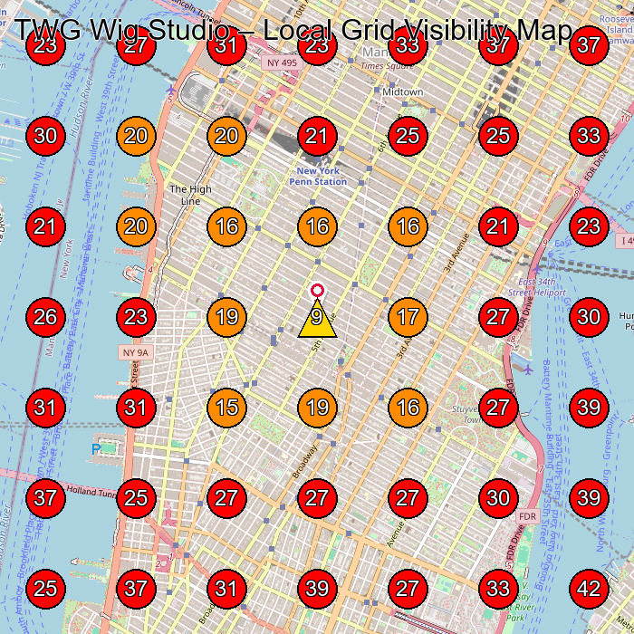 TWG Wig Studio GeoGrid visibility map for Hair Salon in New York